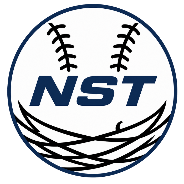NST (Nomad Savant Training) Logo