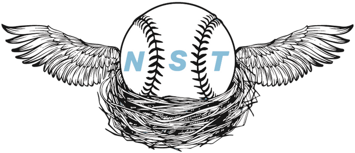 NST (Nomad Savant Training) Logo